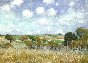 Alfred Sisley Meadow USA oil painting reproduction